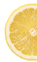 Grape Seed Extract